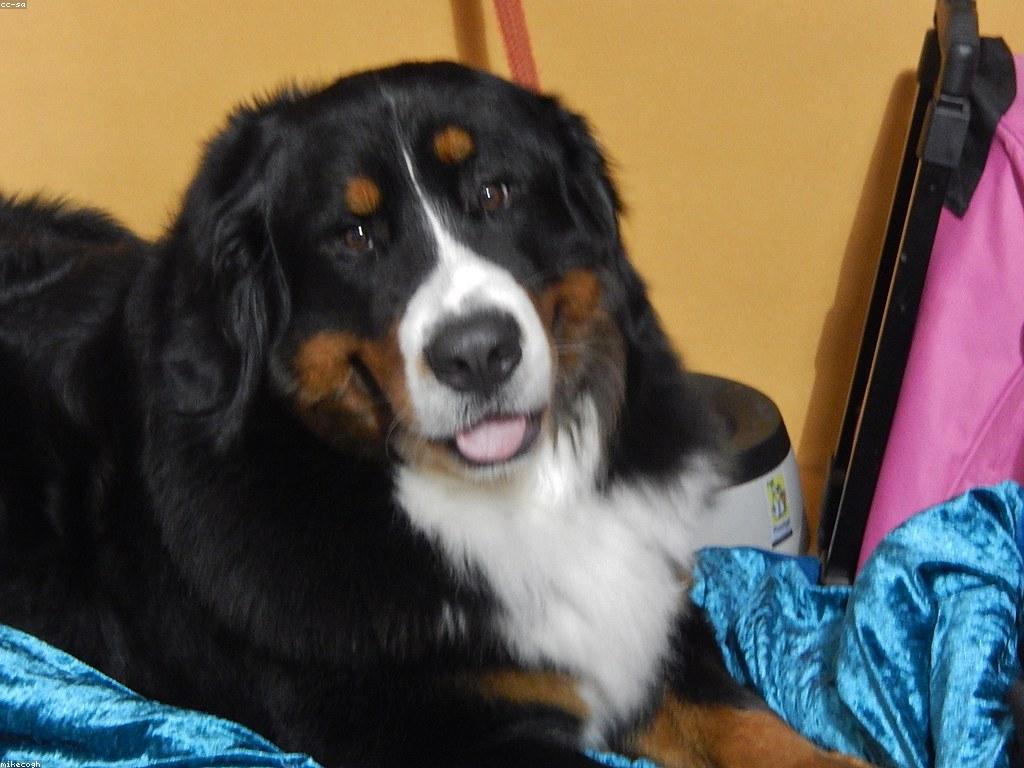 សារៈសំខាន់នៃការប្រកួតមិត្តភាពសម្រាប់ការអភិវឌ្ឍន៍ធនធានมนุษ្យ