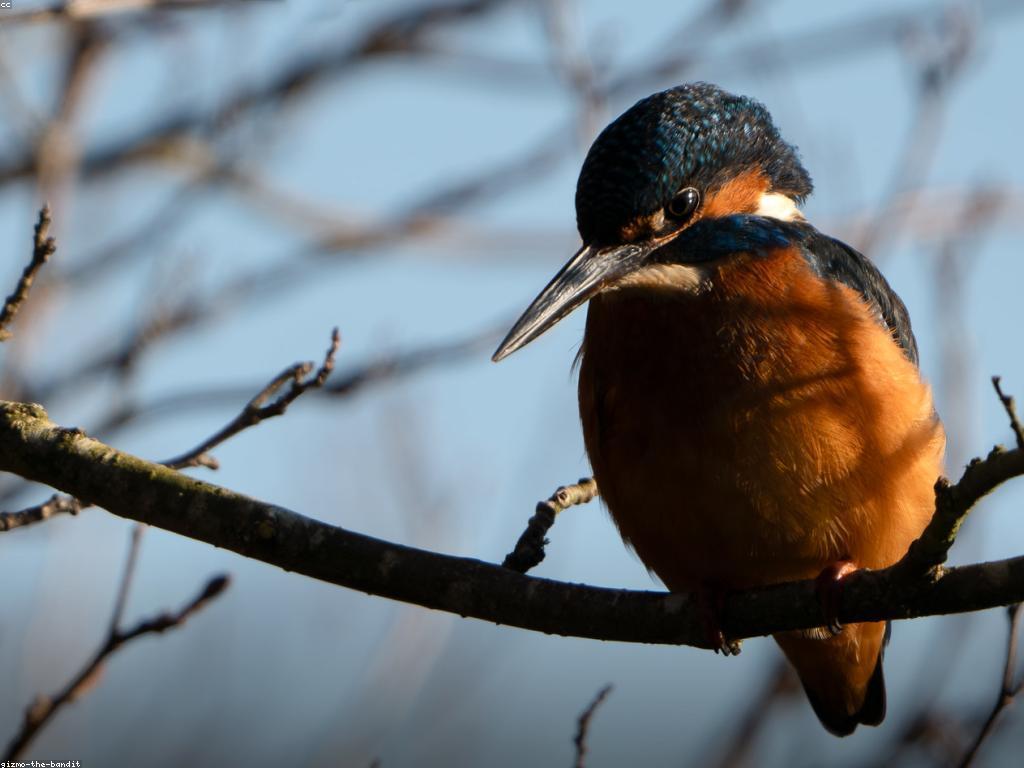 វិធីឈ្នះក្នុងទំនាក់ទំនង